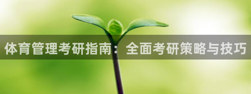 必一体育网页：体育管理考研指南：全面考研策略与技巧