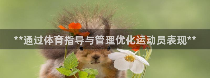 必一运动B-Sport官方网站入口：**通过体育指导与管理优