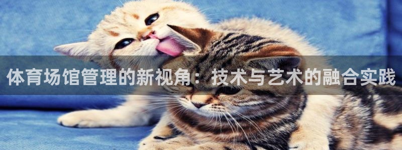 必一体育在哪下：体育场馆管理的新视角：技术与艺术的融合实践