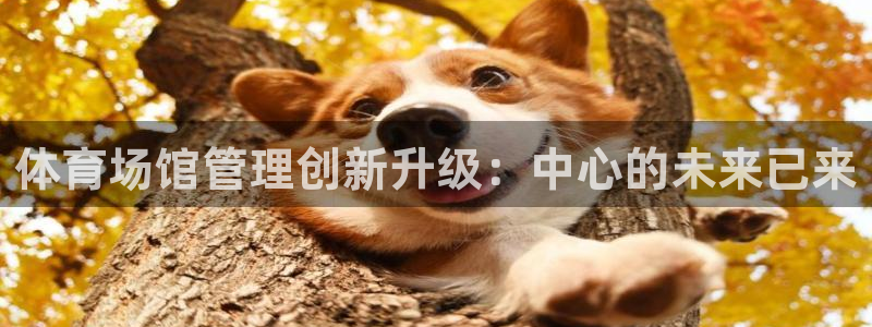 必一体育在哪下：体育场馆管理创新升级：中心的未来已来