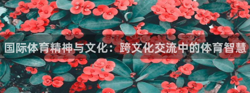 必一体育网页登陆：国