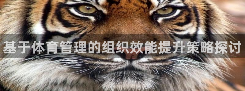 必一体育官方下载：基于体育管理的组织效能提升策略探讨
