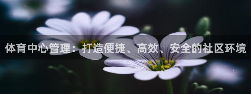 必一体育官方app下