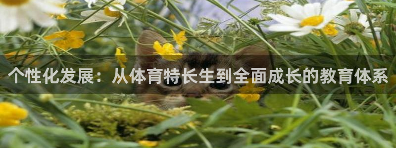 必一体育下载：个性化发展：从体育特长生到全面成长的教育体系