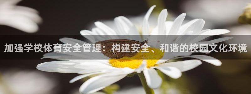 必一体育登录入口：加强学校体育安全管理：构建安全、和谐的校园