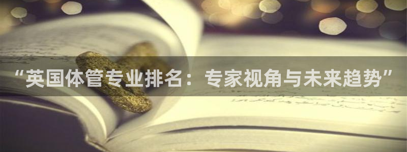 必一体育sport下载：“英国体管专业排名：专家视角与未来趋